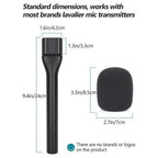 Candc Dual Wireless Interview Microphone