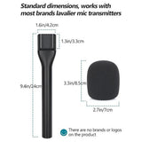 Candc Dual Wireless Interview Microphone