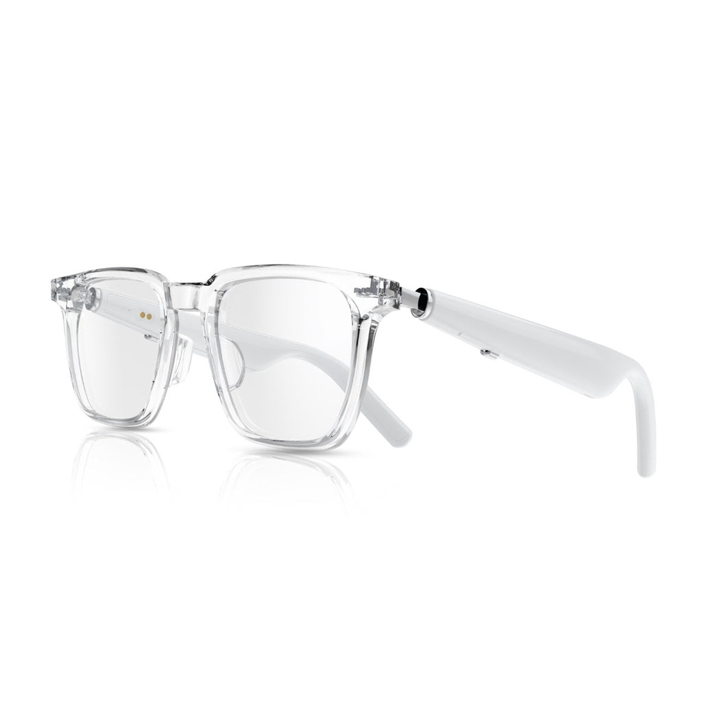 Green Lion Munich Smart Glasses