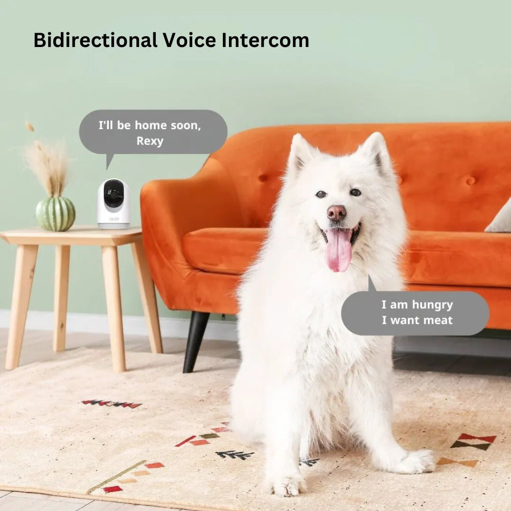 Hoco PTZ HD 3MP Indoor Camera D1