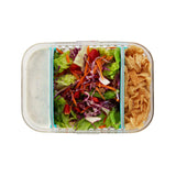 PackIt MOD Bento Lunch Container Mint