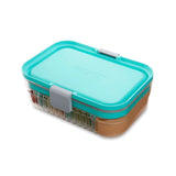 PackIt MOD Bento Lunch Container Mint