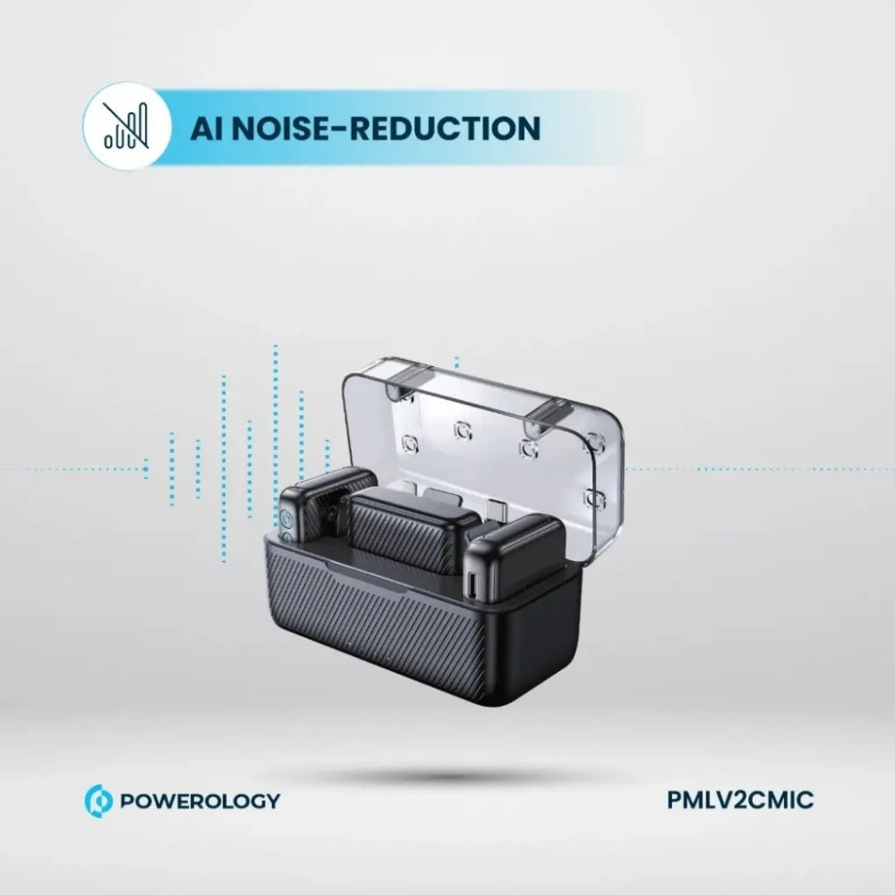 Powerology Dual Microphone Professional Set