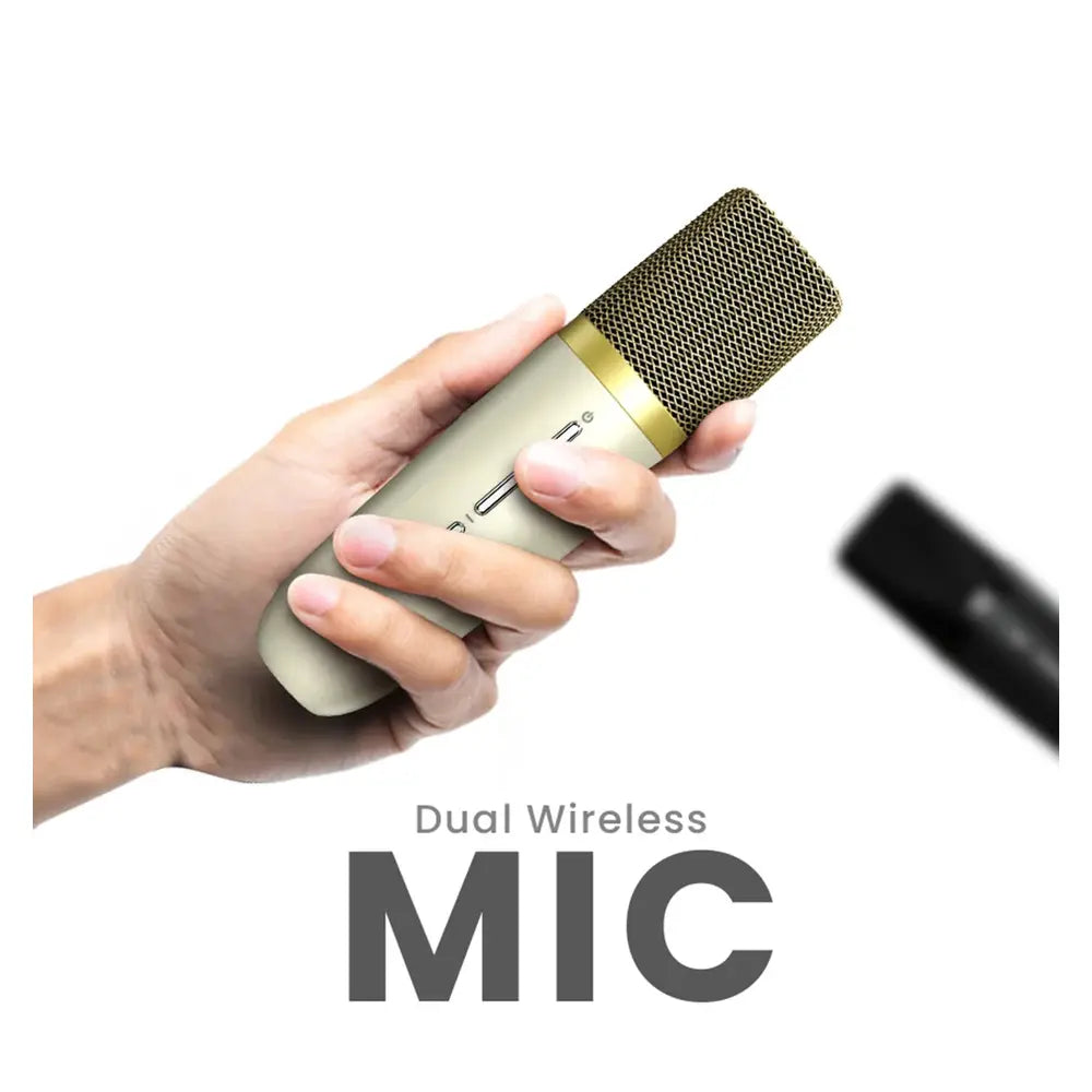 HiFuture Vocalist 100 Portable Karaoke Speaker